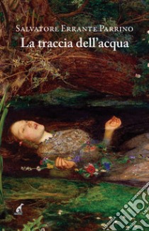 La traccia dell'acqua libro di Errante Parrino Salvatore