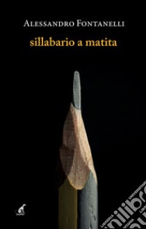 Sillabario a matita libro di Fontanelli Alessandro