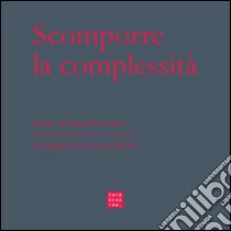 Scomporre la complessità libro di Benvenuti Luigi; Bertin Giovanni