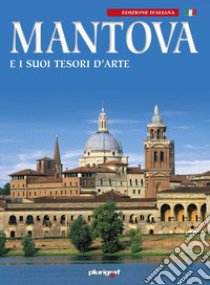 Mantova e i suoi tesori d'arte libro