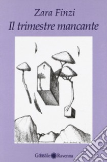 Il trimestre mancante libro di Finzi Zara