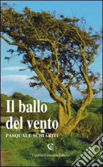 Il ballo del vento libro di Schiariti Pasquale