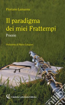 Il paradigma dei miei frattempi libro di Lamanna Floriano