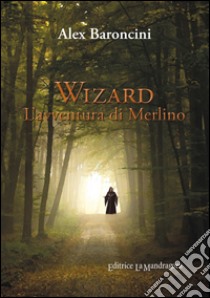 Wizard l'avventura di Merlino libro di Baroncini Alex