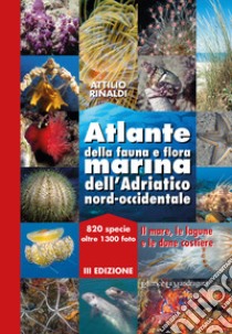 Atlante della fauna e flora marina dell'Adriatico nord-occidentale libro di Rinaldi Attilio