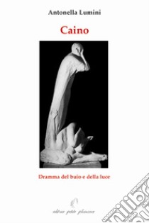 Caino. Dramma del buio e della luce libro di Lumini Antonella