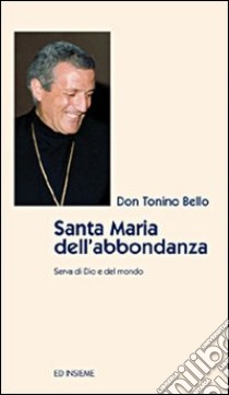 Santa Maria dell'abbondanza libro di Bello Antonio