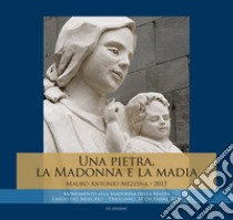 Una pietra, la Madonna e la Madia. Monumento alla Madonna della Madia libro di Mezzina Mauro Antonio