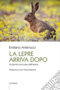 La lepre arriva dopo. Al pronto soccorso dell'anima libro di Antenucci Emiliano