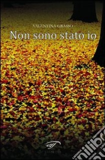 Non sono stato io libro di Grasso Valentina