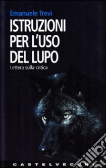 Viaggi iniziatici. Percorsi, pellegrinaggi, riti e libri - Emanuele Trevi -  Libro - UTET 