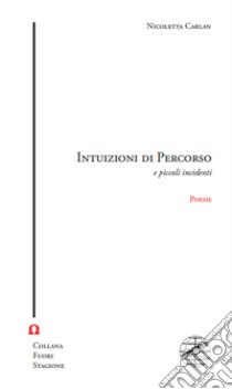 Intuizioni di percorso e piccoli incidenti libro di Carlan Nicoletta