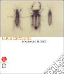 Luca Caccioni. Quello che sembra. Ediz. italiana e inglese libro