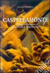 Castellamonte. Il passato e il presente di una città in trasformazione libro di Antoniono Giacomo