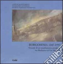 Borgosesia (1247-1997). Vicende di un insediamento prealpino tra Medioevo ed età moderna libro di Bonardi C. (cur.)