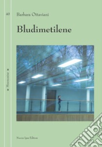 Bludimetilene libro di Ottaviani Barbara