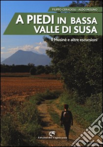 A piedi in bassa Valle di Susa. Il Musinè e altre escursioni libro di Ceragioli Filippo; Molino Aldo