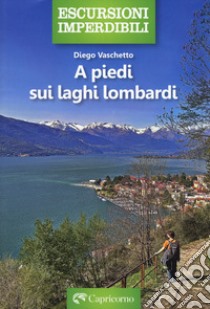 A piedi sui laghi lombardi libro di Vaschetto Diego