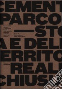 Il cementificio nel parco. Storia della Saceba e della riqualifica territoriale realizzata dopo la sua chiusura libro di Buzzi G. (cur.); Pronini Medici P. (cur.)