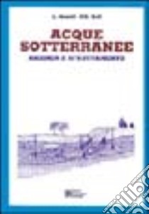 Ricerca e sfruttamento delle acque sotterranee libro di Hamill Leslie; Bell Frederic G.