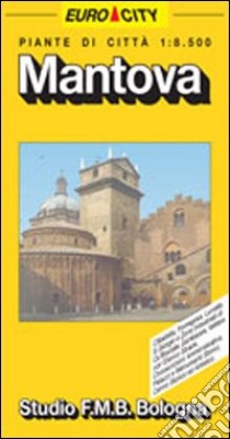 Mantova 1:8.500 libro