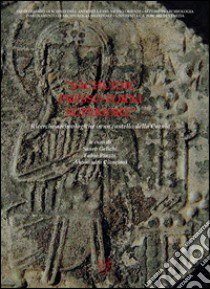 «Sachuidic presso Forni Superiore». Ricerche archeologiche in un castello della Carnia libro di Gelichi S. (cur.); Piuzzi F. (cur.); Cianciosi A. (cur.)