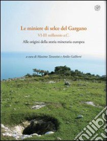 Rassegna di archeologia (2009-2011). Vol. 24/1: Preistorica e protostorica. Le miniere di selce del Gargano (VI-III millennio a.C.). Alle origini della storia mineraria europea libro di Tarantini M. (cur.); Galiberti A. (cur.)