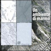 Un ambiente di marmo libro di Toni Michela