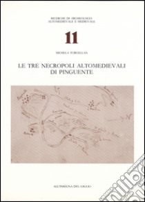 Le tre necropoli altomedievali di Pinguente libro di Torcellan Michela