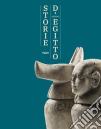 Storie d'Egitto. La riscoperta della raccolta egiziana del Museo Civico di Modena libro di Zanasi C. (cur.)