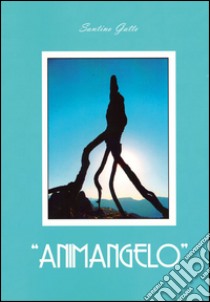 Animangelo libro di Gatto Santino