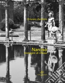 Narciso. Immagini di riflessi libro di Zecchino Ortensio