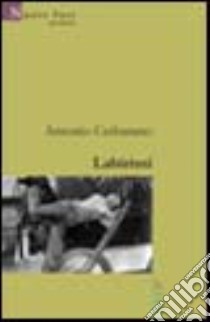 Labirinti libro di Cerbarano Antonio