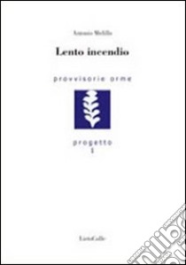 Lento incendio libro di Melillo Antonio