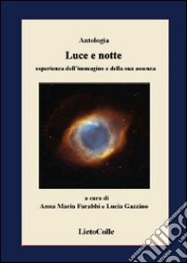 Luce e notte. Esperienza dell'immagine e della sua assenza libro di Farabbi A. M. (cur.); Gazzino L. (cur.)