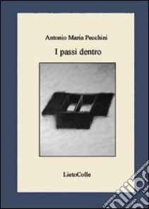 I passi dentro libro di Pecchini Antonio Maria