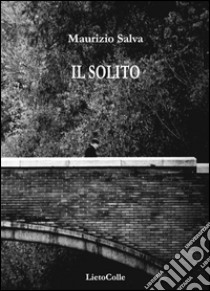 Il solito libro di Salva Maurizio