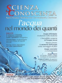 Scienza e conoscenza. Vol. 54: L' acqua nel mondo dei quanti libro