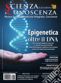 Scienza e conoscenza. Vol. 65: Epigenetica. Oltre il DNA libro