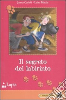 Il Segreto del labirinto libro di Carioli Janna; Mattia Luisa