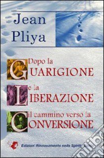 Dopo la guarigione e la liberazione il cammino verso la conversione libro di Pliya Jean