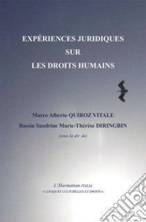 Expériences juridiques sur les droits humains libro di Quiroz Vitale M. A. (cur.); Diringbin B. S. M. (cur.)