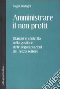 Amministrare il non profit. Bilancio e controllo nella gestione delle organizzazioni del terzo settore libro di Guadagni Luigi