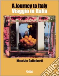 Viaggio in Italia. Ediz. italiana e inglese libro di Galimberti Maurizio; Moioli A. (cur.)