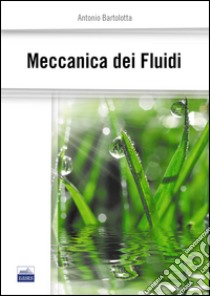 Meccanica dei fluidi libro di Bartolotta Antonio