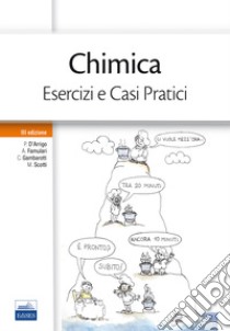 Chimica. Esercizi e casi pratici libro di D'Arrigo Paola; Famulari Antonino; Gambarotti Cristian