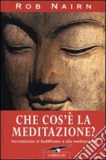 Che cos'è la meditazione? Introduzione al buddhismo e alla meditazione libro di Nairn Rob