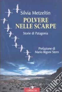 Polvere nelle scarpe. Storie di Patagonia libro di Metzeltin Silvia