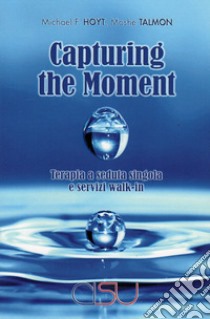 Capturing the moment. Terapia a seduta singola e servizi walk-in libro di Hoyt Michael F.; Talmon Moshe