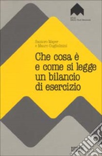 Che cosa è e come si legge un bilancio di esercizio libro di Mayer Santoro - Guglielmini Mauro